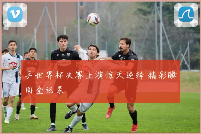 乒世界杯决赛上演惊天逆转 精彩瞬间全记录