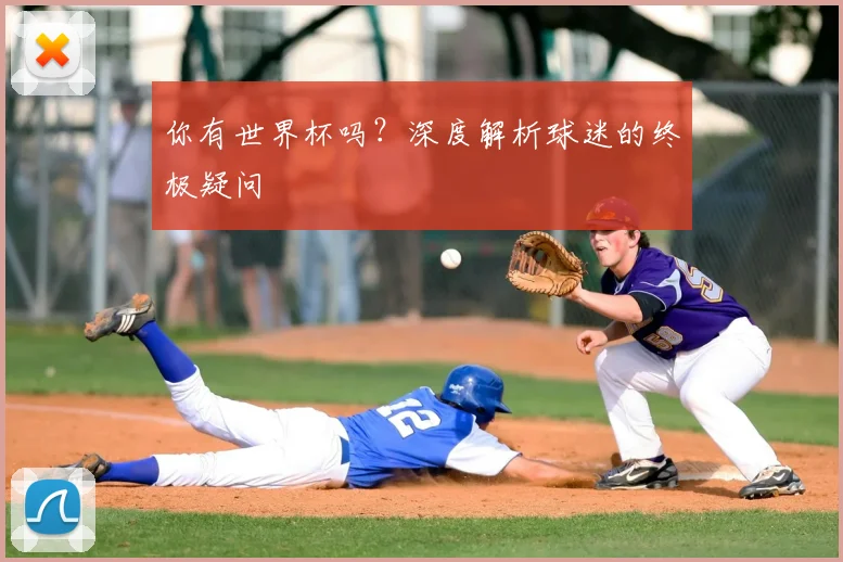 你有世界杯吗？深度解析球迷的终极疑问