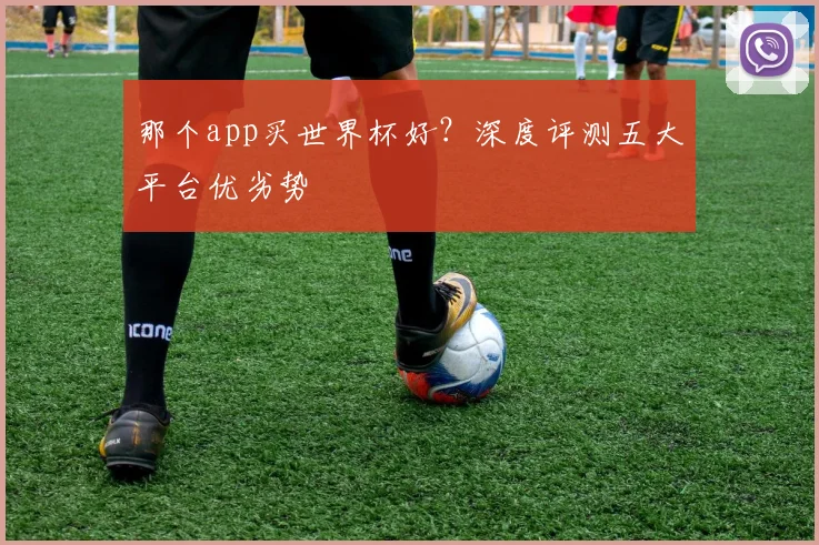 那个app买世界杯好？深度评测五大平台优劣势