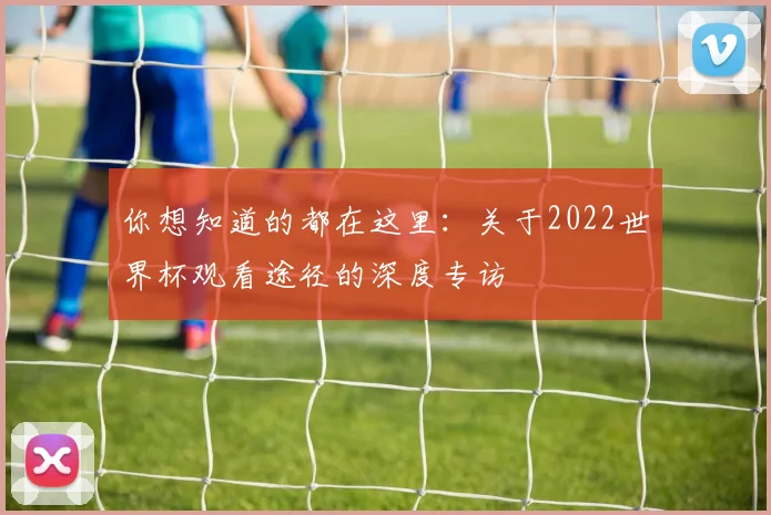 你想知道的都在这里：关于2022世界杯观看途径的深度专访