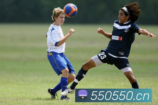 开云在线网页版APP 封面图